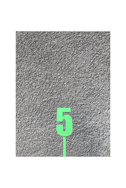 OEM Topper tort, "5", happy birthday,100 X 31 mm verde