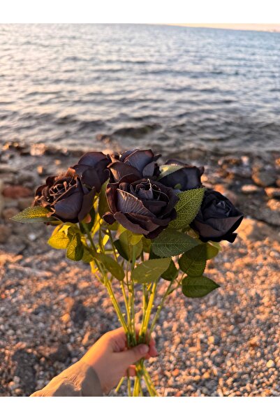 page journals 10'lu SİYAH gül yapay yüksek kalite