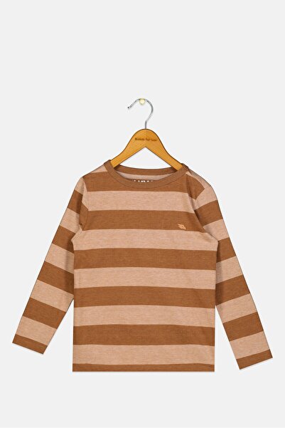 HAWK Toddlers Boy Crew Neck Long Sleeves Stripe T-Shirt, Brown