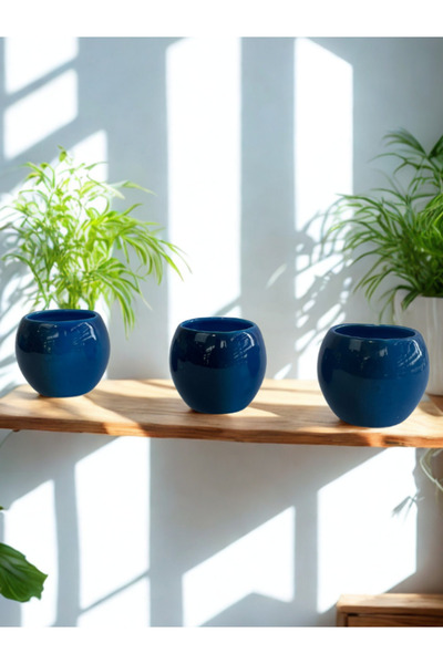 RGS ÇİNİ Rgs Homelife El Yapımı 3'lü Dekoratif Ev Bahçe Kaktüs Çiçek Hediye S...