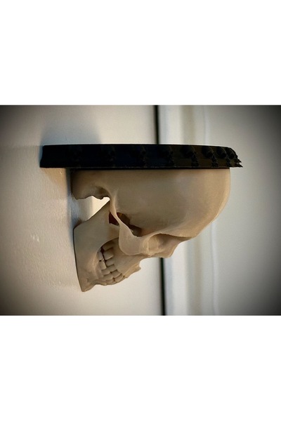 Home Kurukafa raf, duvar rafı , gotik biblo iskelet tasarımlı raf , duvar dekoru