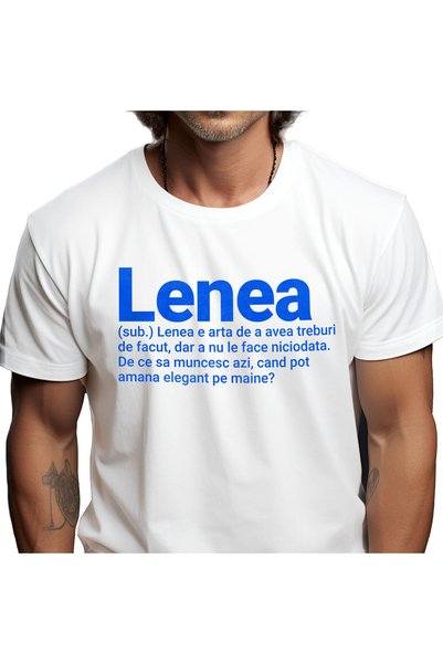 StoryGift Romania Tricou Barbati cu Subsatantiv Si Definitie Haioasa Text In ...