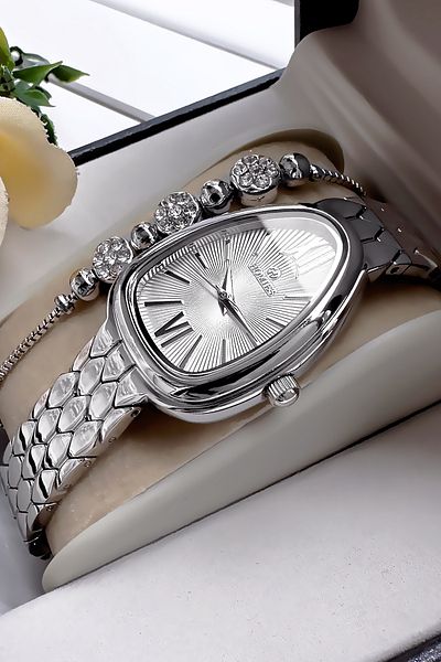 Homies Special Boxed Snake Model Women Wristwatch Waterproof Silver Color Steel Band + Bracelet Hmby2059C4