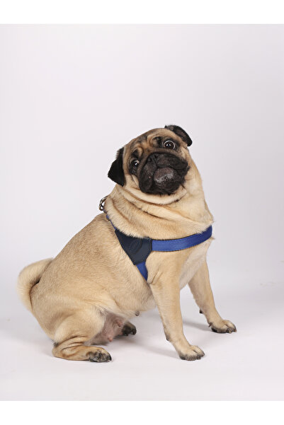 LİNO TASMA Lino Soft Textured Adjustable Dog Breast Collar