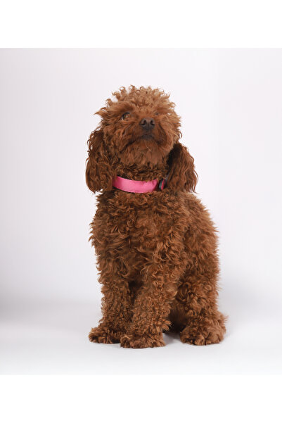 Lino Column Soft Neck Collar with Leather End