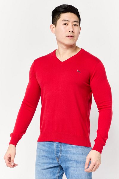 Harmont & Blaine Men V-neck Long Sleeve Embroidered Logo Sweater, Red
