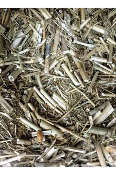 Generic عشبة أنجليكا 250 جرام