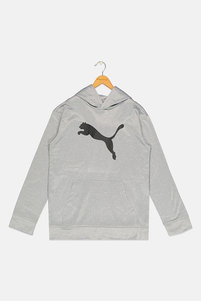 Puma Kids Boy Sportswear Fit Long Sleeves Outdoor Hoodie, Light Grey
