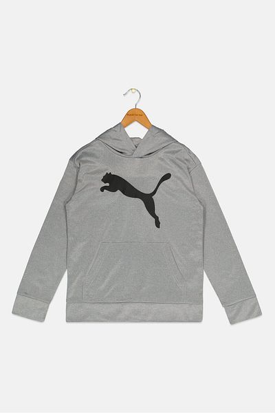 Puma Kids Boy Sportswear Fit Long Sleeve Hoodies, Grey