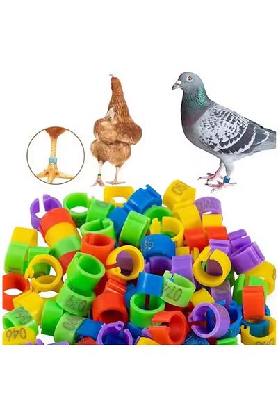 OEM Set de 100 de inele pentru porumbei și alte păsări, Plastic, 8 mm, Multicolor