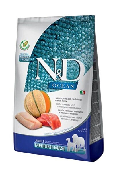 N&D Elite N & D Ocean Tahılsız Somon Morina Balığı Kavun Büyük ve Orta Irk Ye...