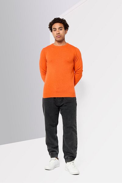Harmont & Blaine Men Crew Neck Long Sleeves Embroidered Logo Sweater, Orange