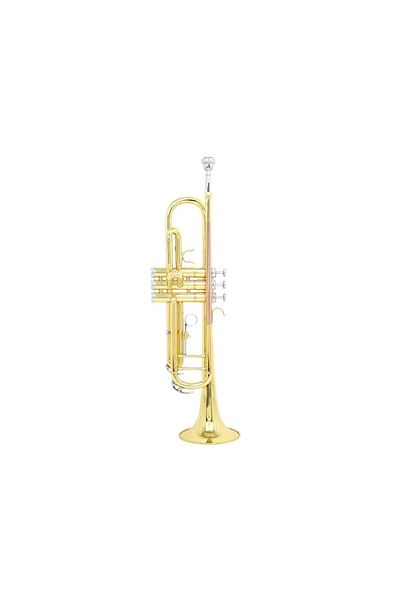 Parrot Parrot 6416L B-flat trumpet, lacquered