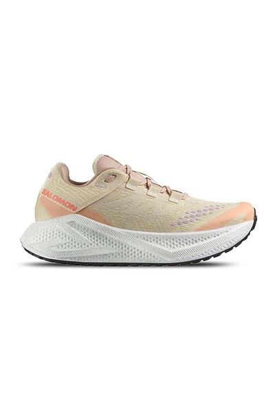 Salomon Aero Glide 3 Grvl W Women's Running Shoes L47812500