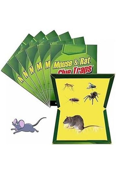 Other Non-toxic strong adhesive mouse trap for indoor/outdoor use (Size M - 31 x 21 cm - 12 pieces)