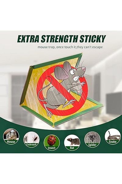 Other Non-toxic strong adhesive mouse trap for indoor/outdoor use (Size M - 31 x 21 cm - 12 pieces)