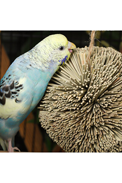 Choice Natural Parrot Grass Ball Hanging Chewing Toy Chew Shred Foraging Bird Cage Accessories For Parak...