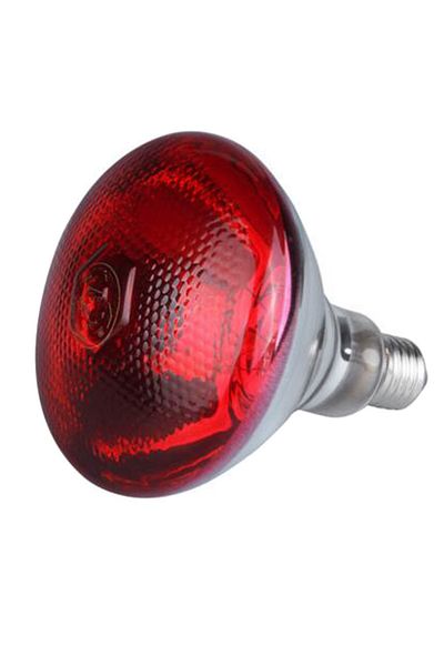 Choice 250W 250w Infrared Heat Lamp E27 Waterproof Anti-Explosion Thickened Light Bulbs Heat Lamp Thermal P