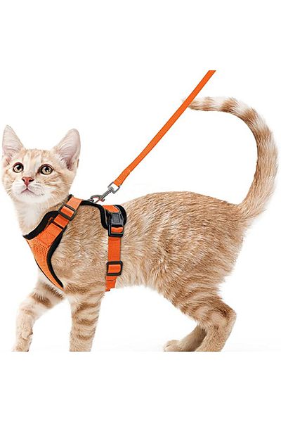Choice XS orange Cat Harness and Leash for Walking, Escape Proof Soft Adjustable Vest Harnesses for Cats, E
