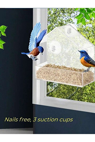 Choice Transparent 1pcs Acrylic Bird Feeder Clear Window Outside Hanging Bird Feeder House with Suction Cup