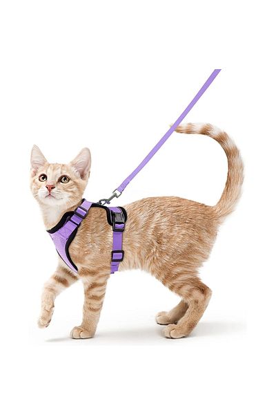 Choice XS VIOLET Cat Harness and Leash for Walking, Escape Proof Soft Adjustable Vest Harnesses for Cats, E