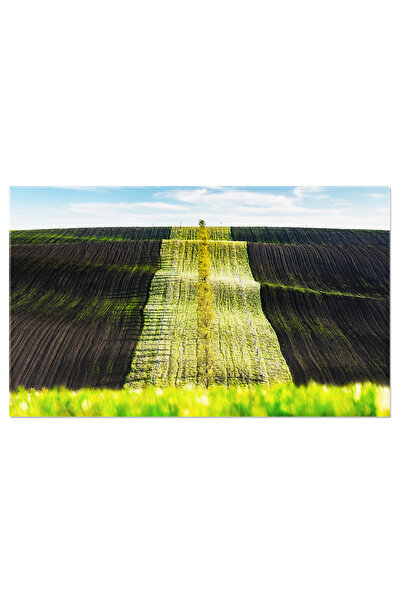 StoryGift Romania Tablou Canvas Valuri Verzi Si Maro Ale Cimpurilor Agricole,...