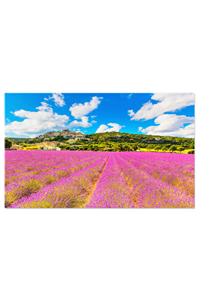 StoryGift Romania Tablou Canvas 40 X 25cm Camp De Lavanda Si Satul Simiane La Rotonde, Provence, Flori, Aromate Stg