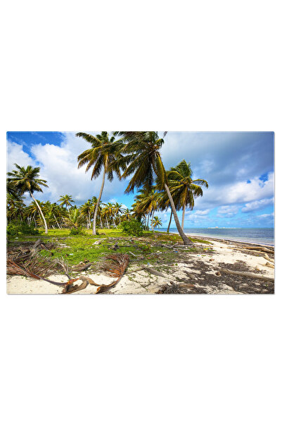 StoryGift Romania Tablou Canvas Plaja Neatinata, Plaja, Exotica, Insula, Peis...