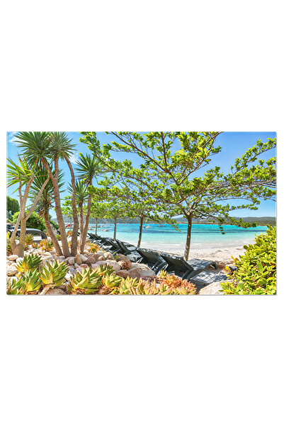 StoryGift Romania Tablou Canvas Misterul Formatiunilor Stancoase Troll Toes Apa, Cer, Plaja, Vara, Calatorie. 993