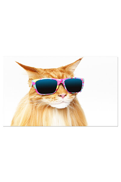 StoryGift Romania Tablou Canvas - Maine Coon Curios: Privire Vigilenta