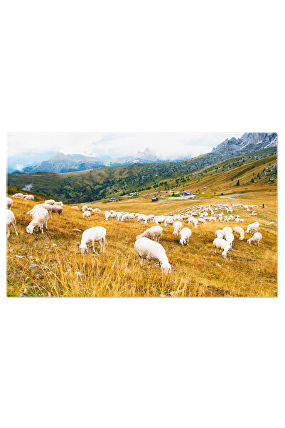 StoryGift Romania Tablou Canvas Oile Mananca Iarba La Apus Intro Pajiste Cu Alpii In Fundal, Un Peisaj Rural Care