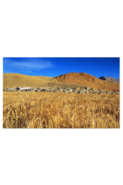 StoryGift Romania Tablou Canvas Sat Tibetan, Himalaya, Munte, Peisaj, Albastru, Galben, Inalt 4659