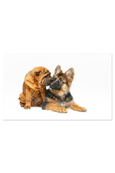 StoryGift Romania Tablou Canvas - Sharpei Dragut: Puiut Cu Ochii Ascutiti