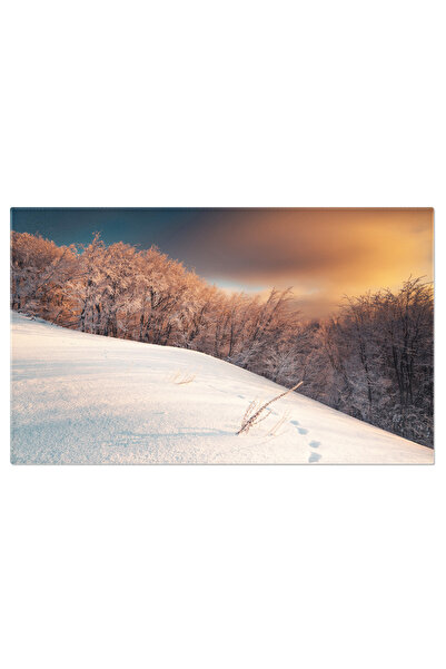 StoryGift Romania Tablou Canvas Arta Confectionarii Idolilor, Abstract, Arta,...