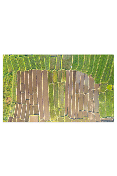 StoryGift Romania Tablou Canvas Pamant Roditor Camp De Rijea Proaspata, Bale,...