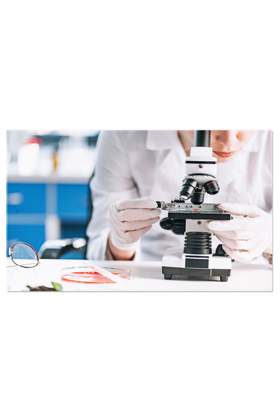 StoryGift Romania Tablou Canvas Explorand Microbiologia Imunolog Privind Prin Microscop, Lucrand Intrun Mediu Cli