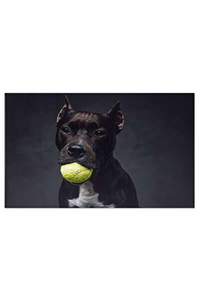 StoryGift Romania Tablou Canvas - Bullterrier: Pui Jucaus Si Curios Cu Ochi L...