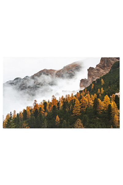 StoryGift Romania Tablou Canvas: Trecerea Toamnei - Infrumusetand Lumina Zilei Cu Frunze Ochii De Ureche