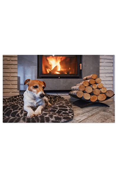 StoryGift Romania Tablou pânză 40 x 25 cm Jack Russell Terrier Pe Scaun Lung,...