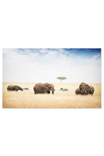 StoryGift Romania Tablou Canvas Elefanti Pazaind In Kenya, Africa Savana, Nat...