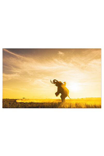 StoryGift Romania Tablou Canvas Elefant La Apus In Peisaj Urban Agricultura, ...