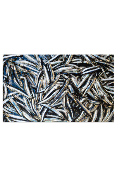 StoryGift Romania Tablou Canvas Sardine Mici Pe Fundal De Piatra: Peste, Sard...