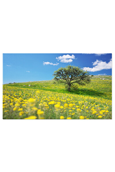 StoryGift Romania Tablou Canvas Arbore Si Flori Galbene In Poiana De Munte, N...