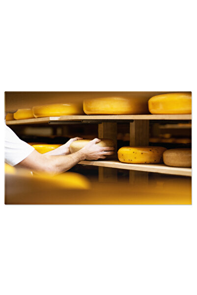 StoryGift Romania Tablou Canvas Fabricant De Branza La Depozitul De Branza Branza, Productie, Depozit, Industrie,