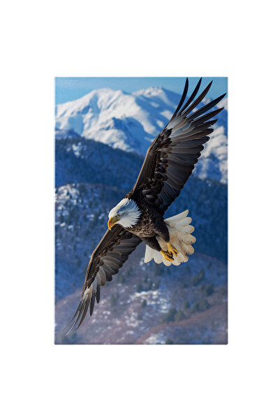 StoryGift Romania Tablou Canvas: Vultur Plesuv La Inaltime - In Zbor Munti Za...
