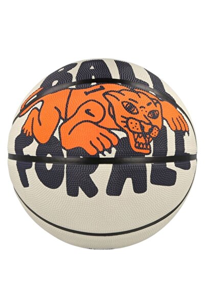 Nike Basketbol Topu Tüm Modeller