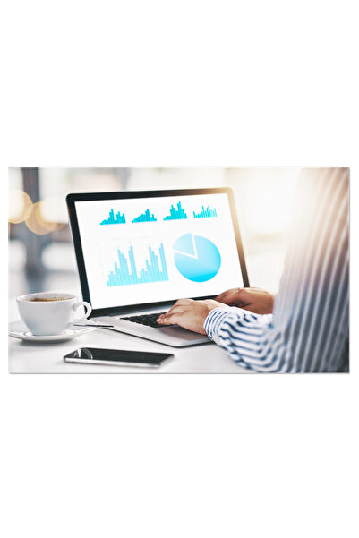 StoryGift Romania Tablou Canvas: Ziua De Lucru - Businesswoman La Birou, Tehn...