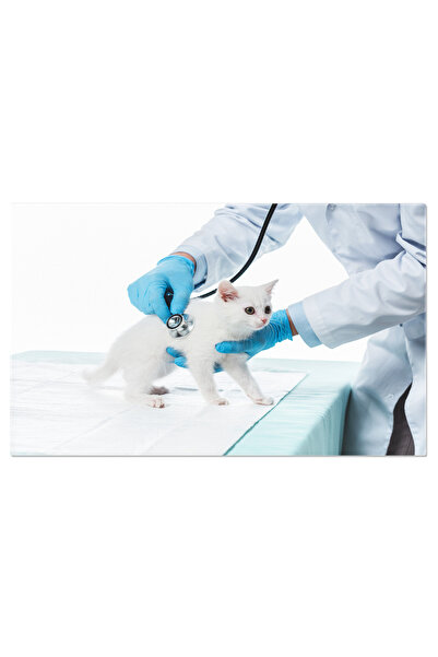 StoryGift Romania Tablou Canvas Veterinar Examinand Pisoi Fundal, Persoana, S...