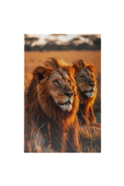 StoryGift Romania Tablou Canvas Leii Și Coama Lor Mândră În Câmpia Aurie Sub ...