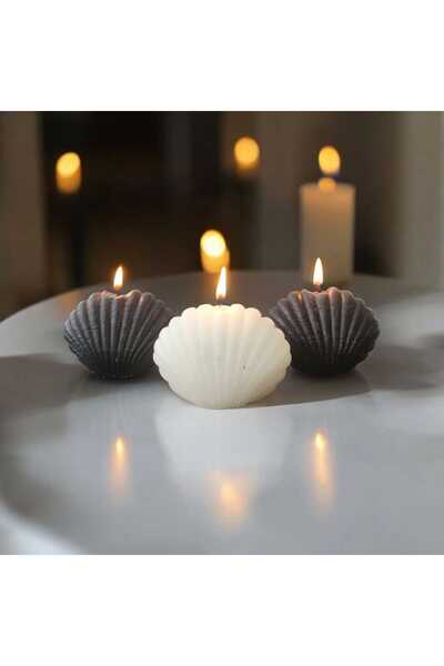 aymumi home Deniz Kabuğu Şeklinde Dekoratif Mum Seti – 3'lü